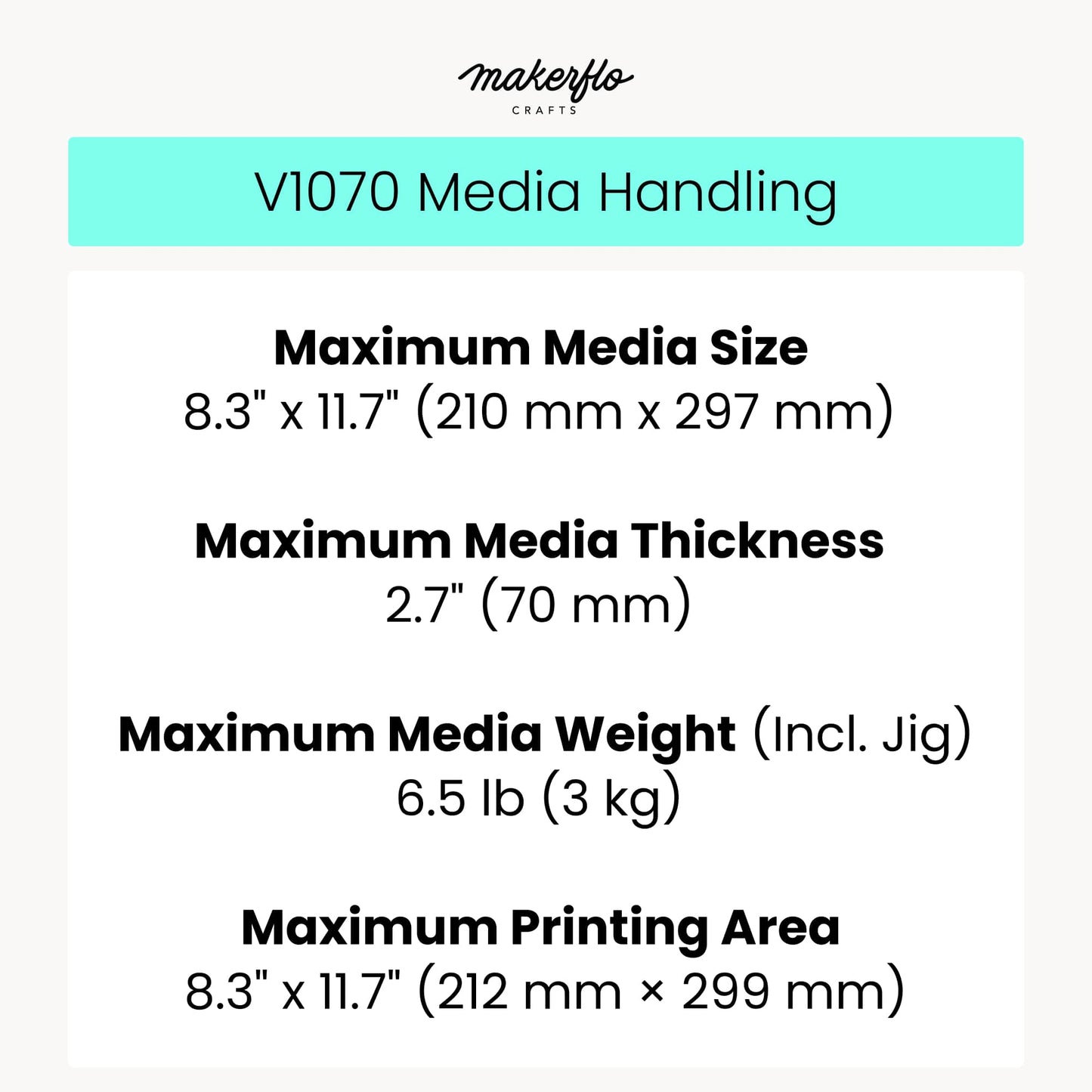 epson V1070 media handling