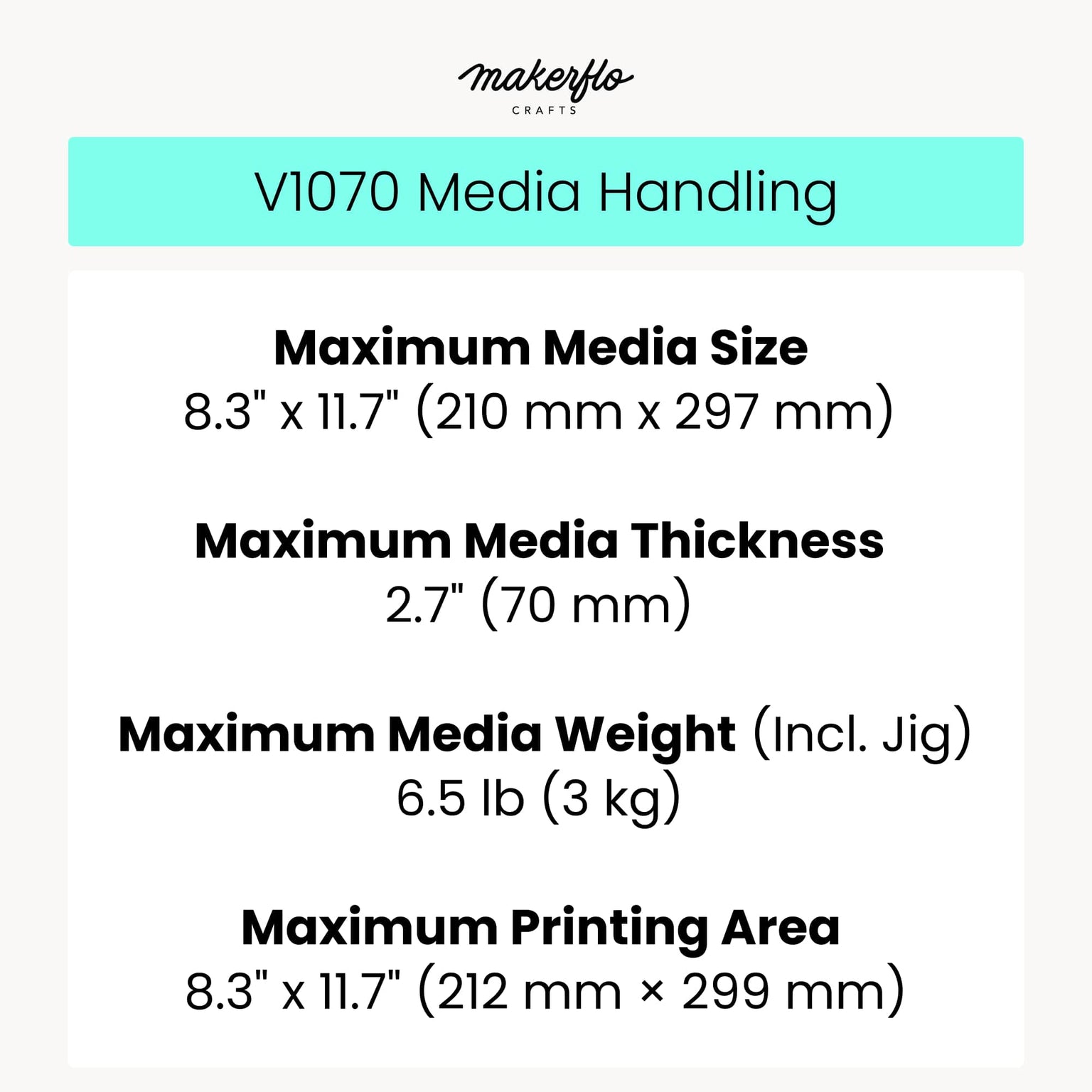 epson V1070 media handling