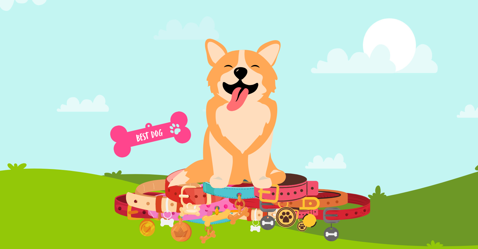 Beautiful view of Creative Puppy Crate Pet Accessories