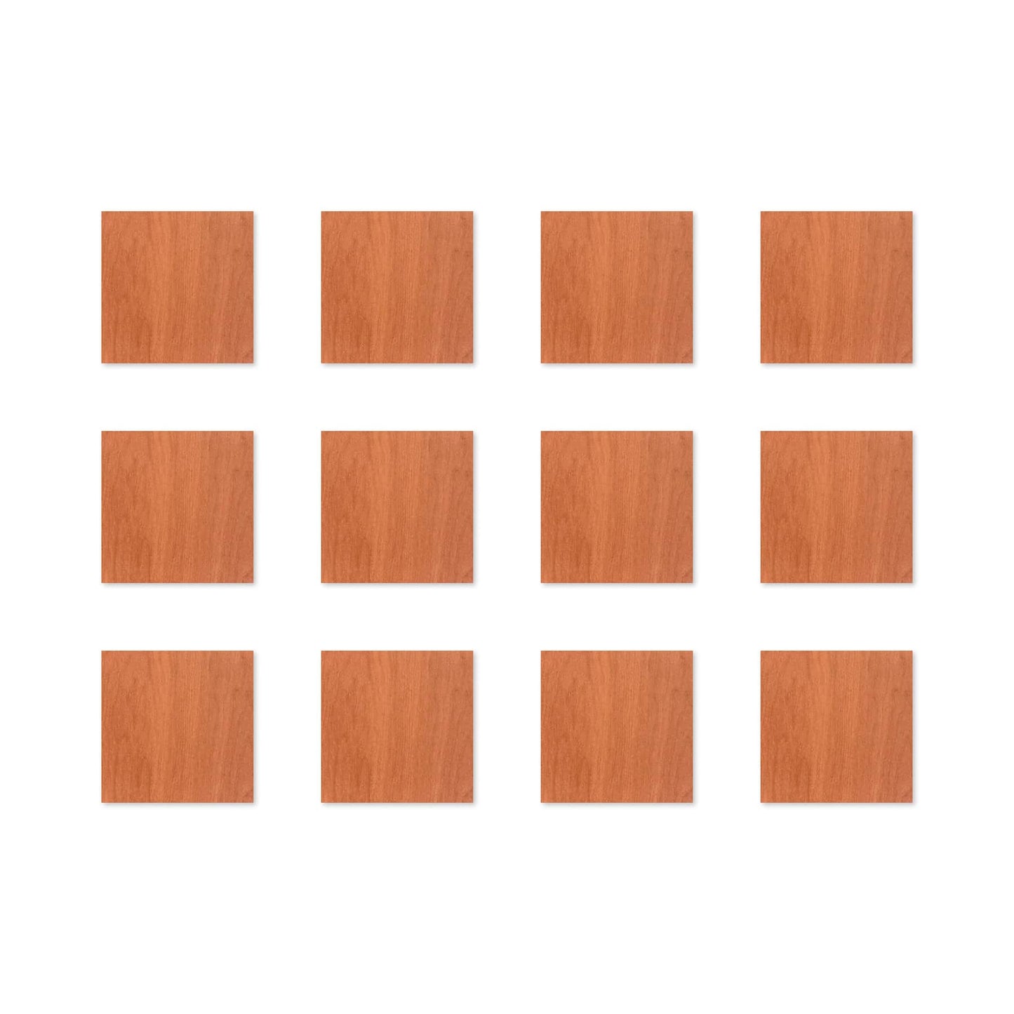 TF Mini 3.75 x 3.75 12-Pack