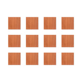 TF Mini 3.75 x 3.75 12-Pack