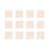 TF Mini 3.75 x 3.75 12-Pack