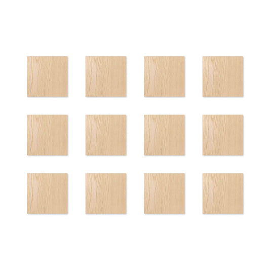 TF Mini 3.75 x 3.75 12-Pack