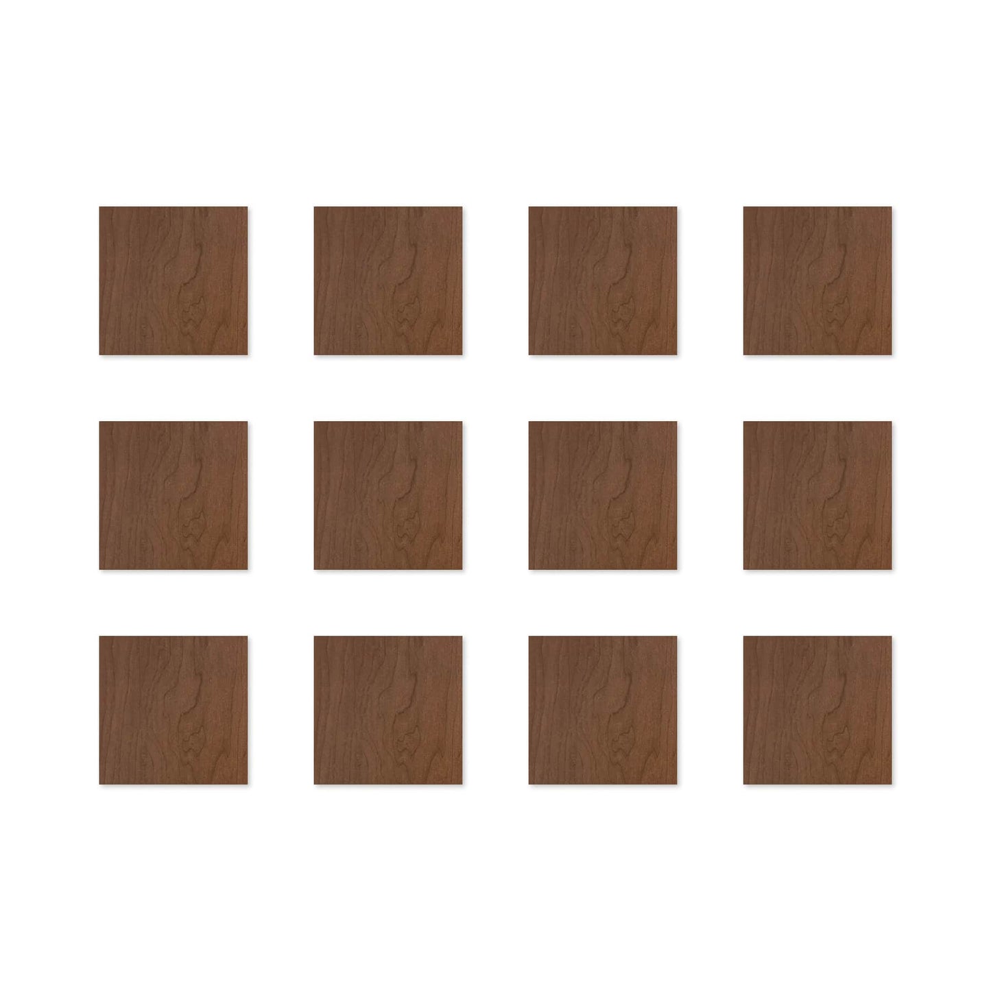 TF Mini 3.75 x 3.75 12-Pack