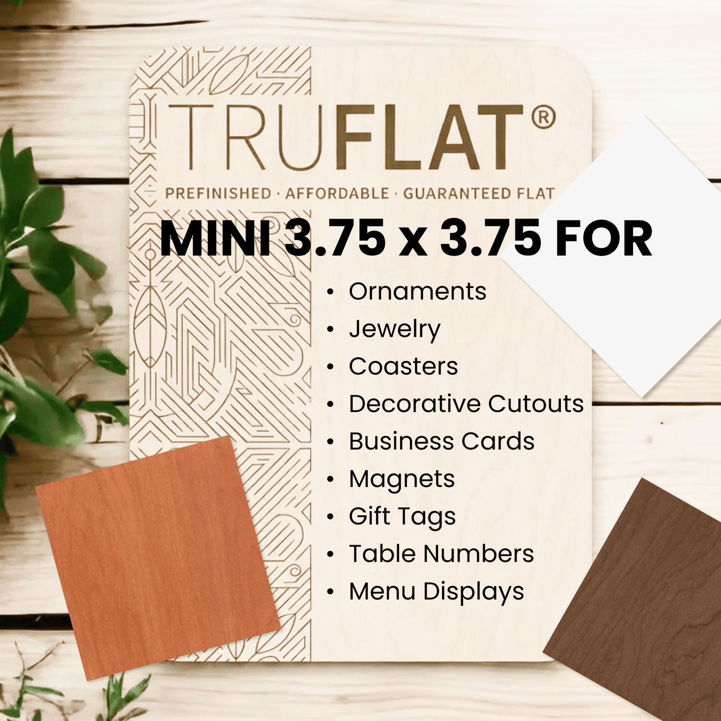TF Mini 3.75 x 3.75 12-Pack